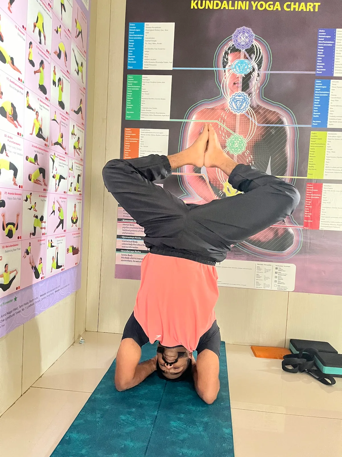 Live Love Yoga Classes in Chennai