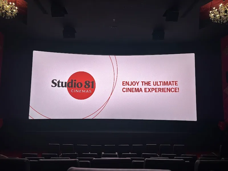 Studio 81 Cinemas
