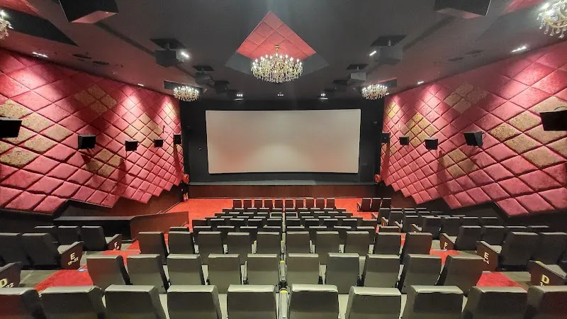 Studio 81 Cinemas