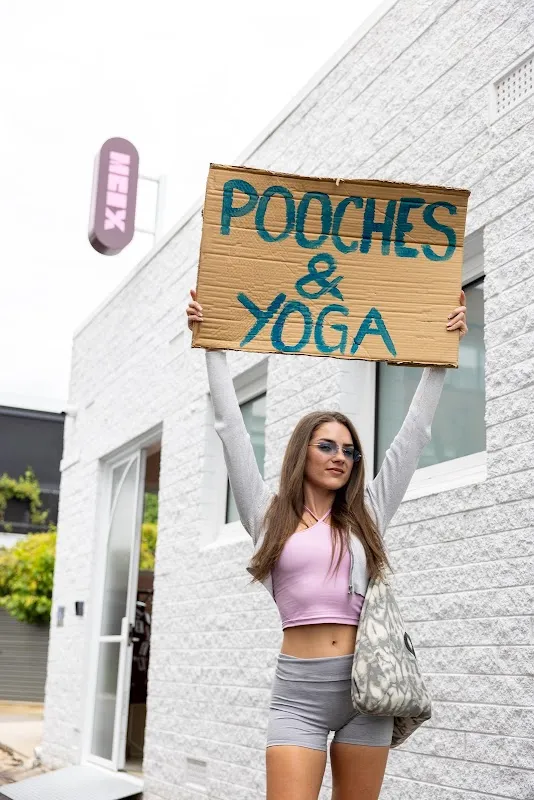 Pooch Yoga - Puppy Yoga in Adelaide