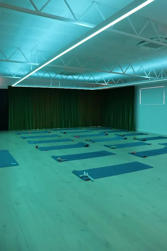 Pooch Yoga - Puppy Yoga in Adelaide