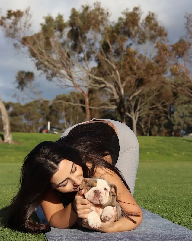Pooch Yoga - Puppy Yoga in Adelaide