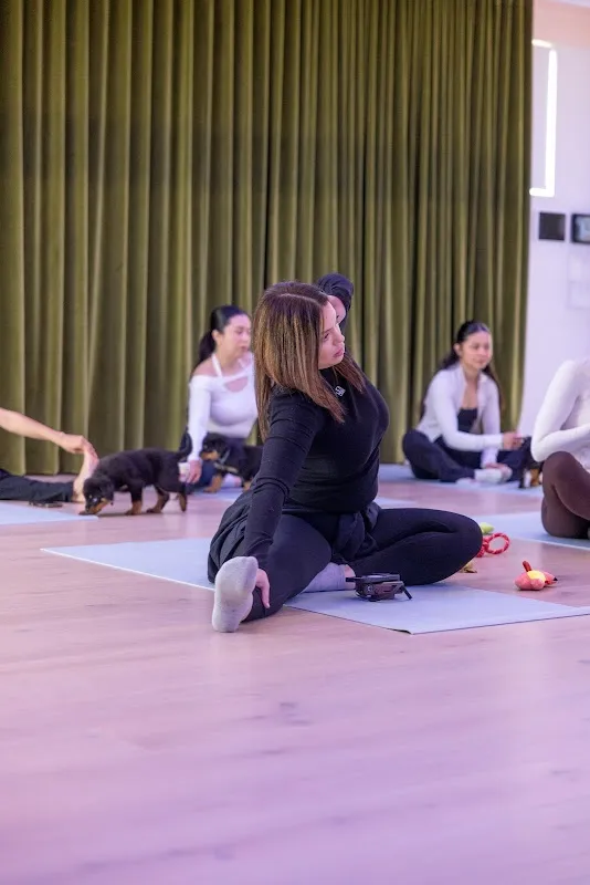 Pooch Yoga - Puppy Yoga in Adelaide