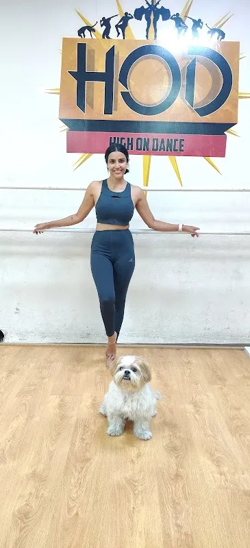 High on Dance