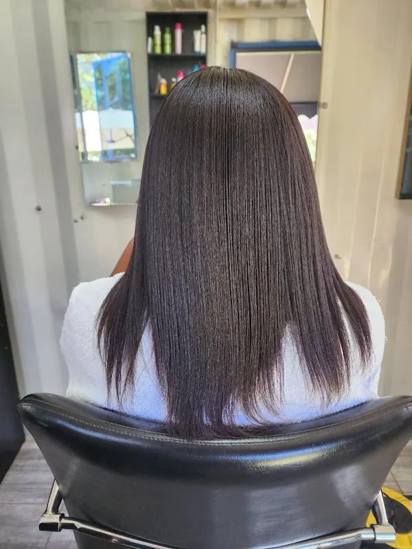 Lavish Hairstyles
