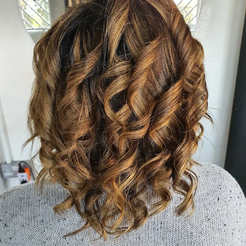 Lavish Hairstyles