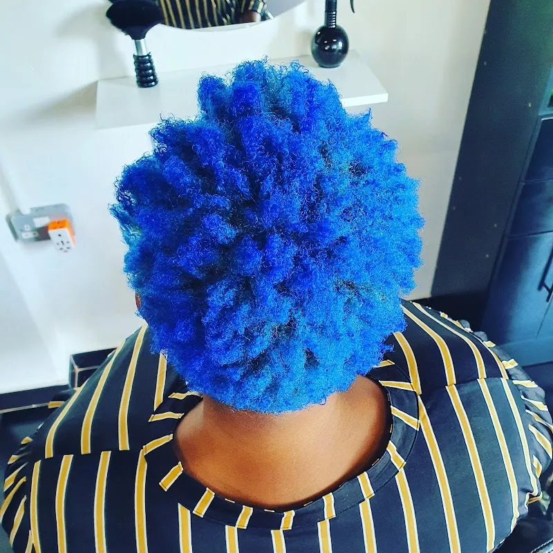 Lavish Hairstyles