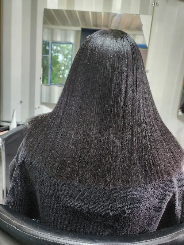 Lavish Hairstyles