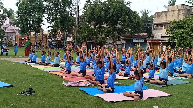 THE TREE YOGA & PHYSIOTHERAPY HUB