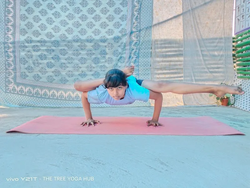 THE TREE YOGA & PHYSIOTHERAPY HUB