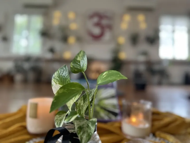 Clayfield Yoga Studio