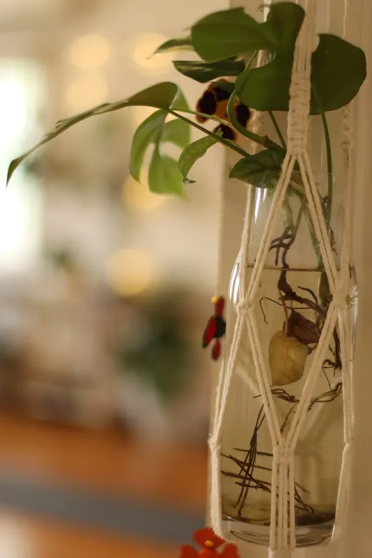 Clayfield Yoga Studio