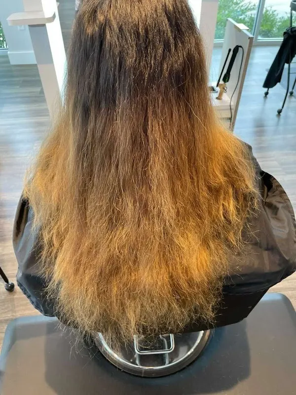 Amanda Maddox Salon