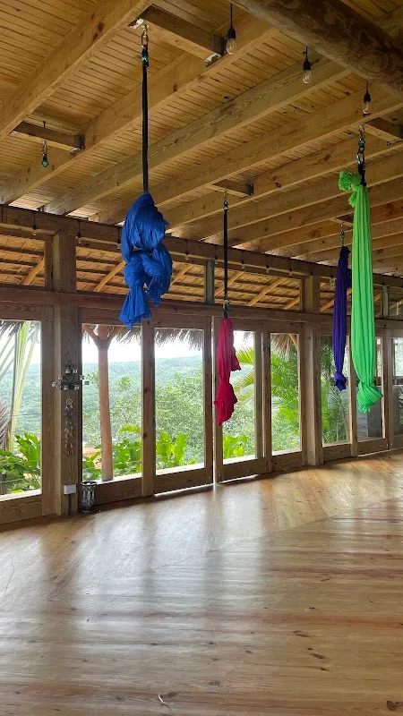 Yoga Life Villa a boutique sanctuary for personal transformation