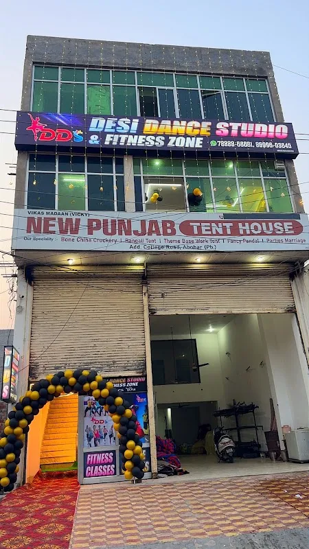 DESI DANCE STUDIO & FITNESS ZONE : DDS