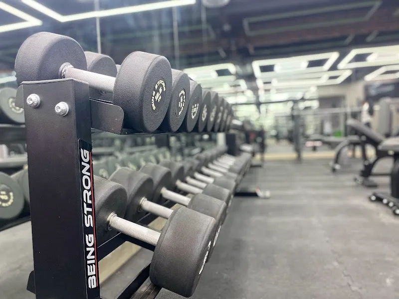 2 Next Level Fitness Gym