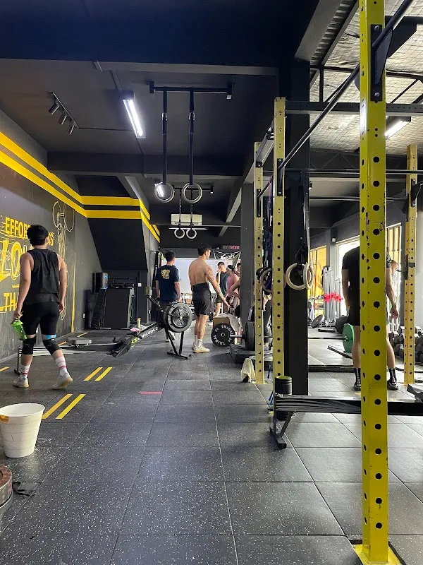 Amplify Fitness