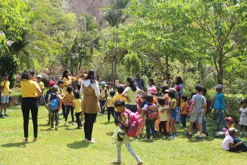 Saili's Art Zone