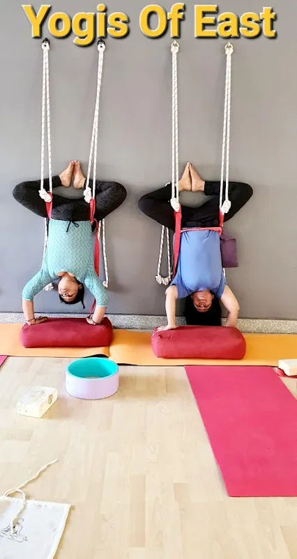 Yogis of East