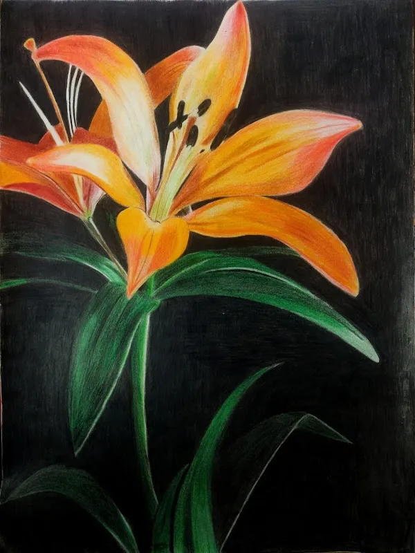 HeArt Arrest - Drawing, Painting and Art sale