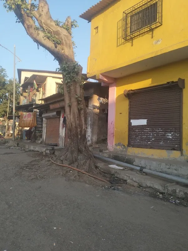 Sharma Salon