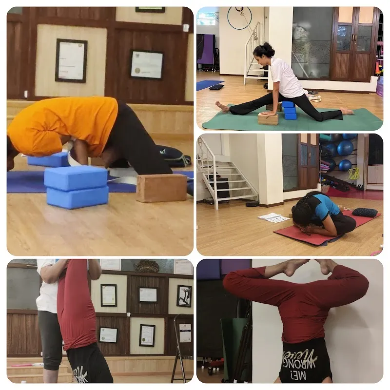 Varsha's Yoga Class & Sound therapy Institute