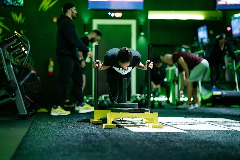 Alpha Fit Club