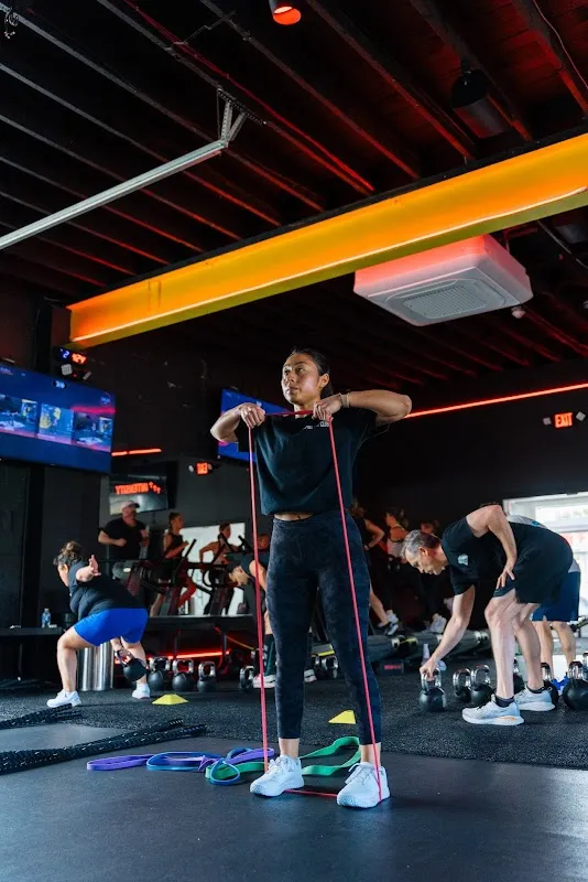 Alpha Fit Club