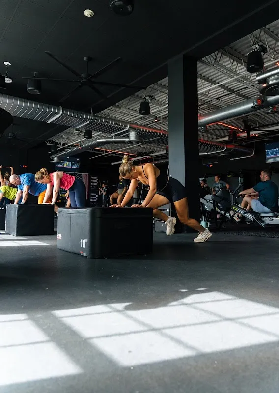 Alpha Fit Club