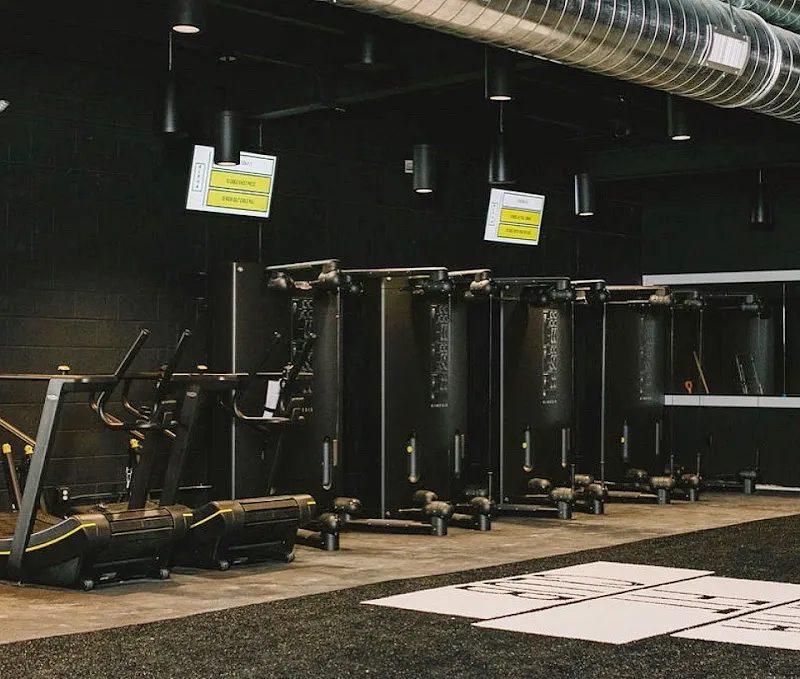 Alpha Fit Club