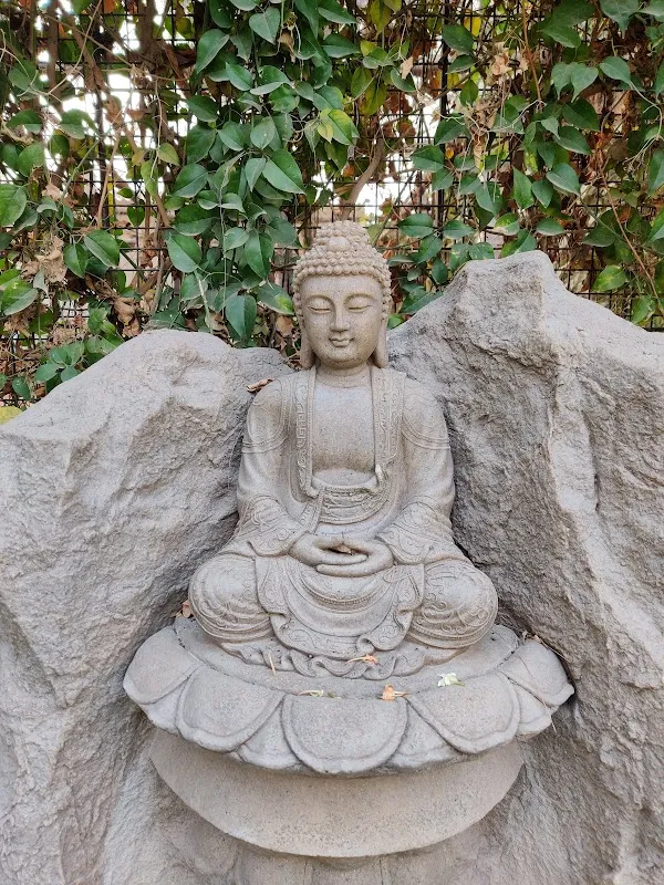 Yogamitra Wellness Centre