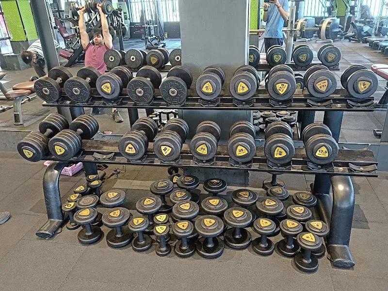 SFW The GYM