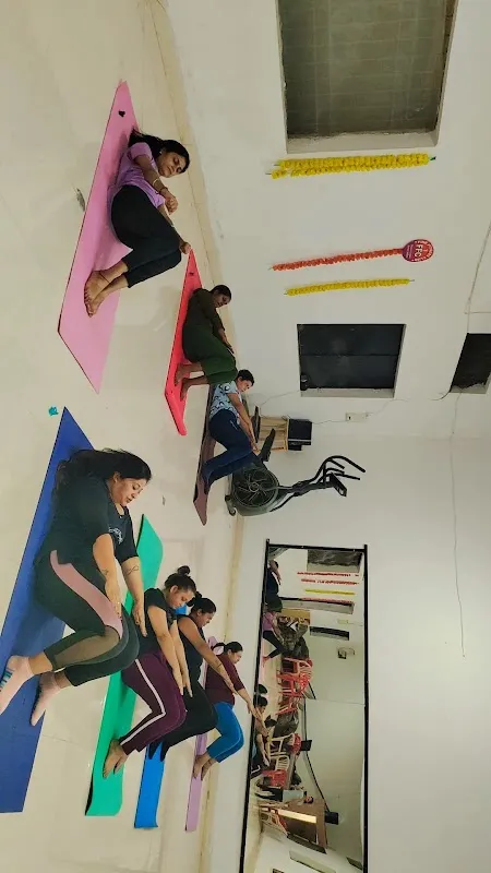 Fine Fitness Club