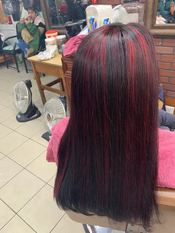 The Hair Palace
