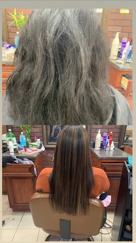 The Hair Palace