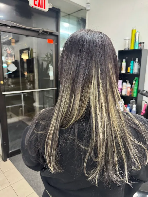 The Hair Palace