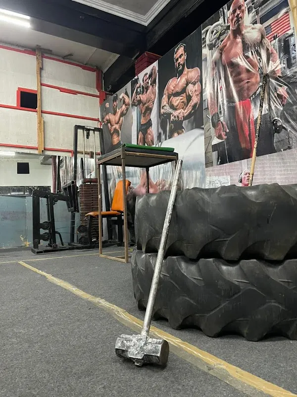 FIT INDIA HEALTH & BODY CARE CENTRE