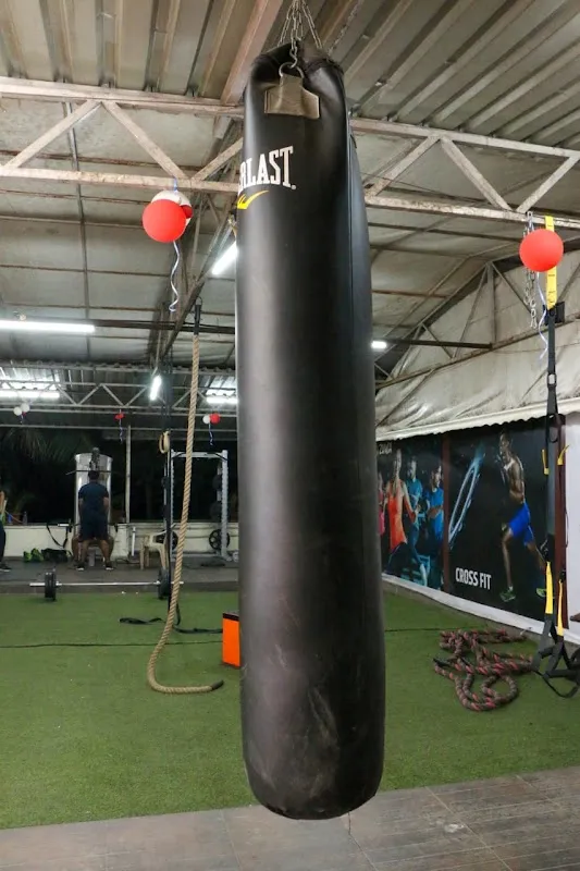 Power Junction Gym [Flex Iron Gym]