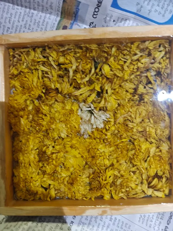 SwaRa Resin Art Studio