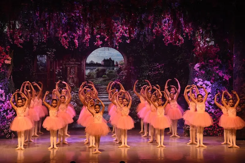 Bella Academy