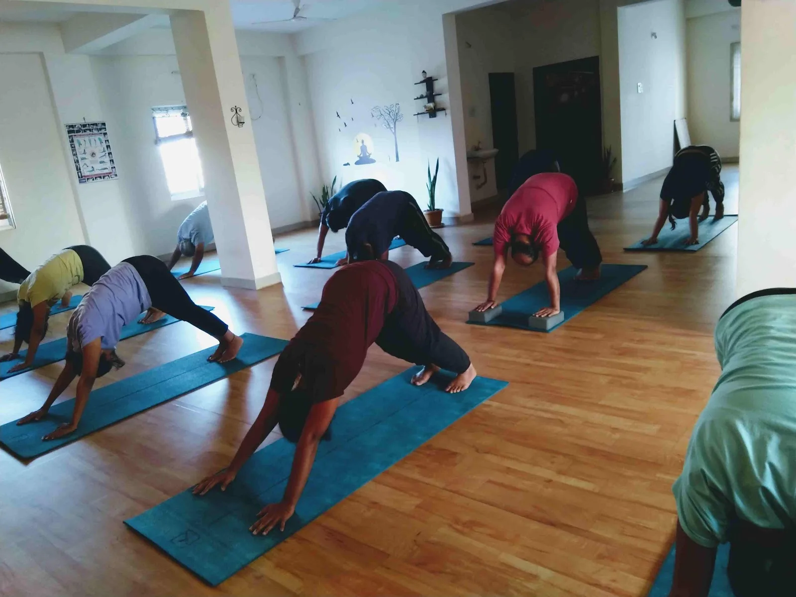 Prana Yoga Fitness Studio| Pregnancy Yoga| Children Yoga