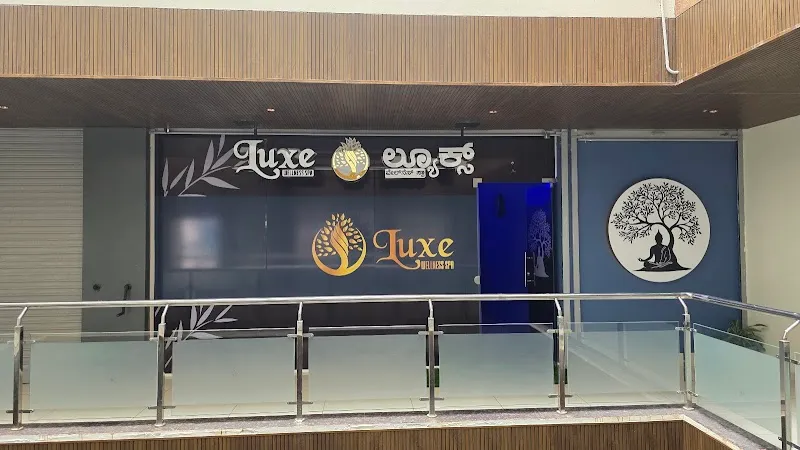 Luxe Wellness Spa
