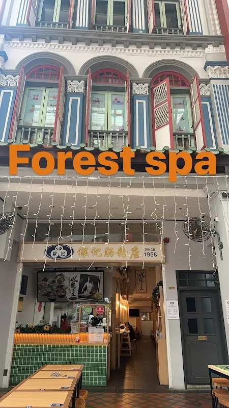 Forest Spa