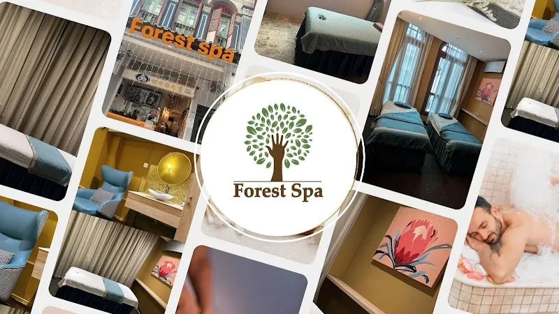 Forest Spa