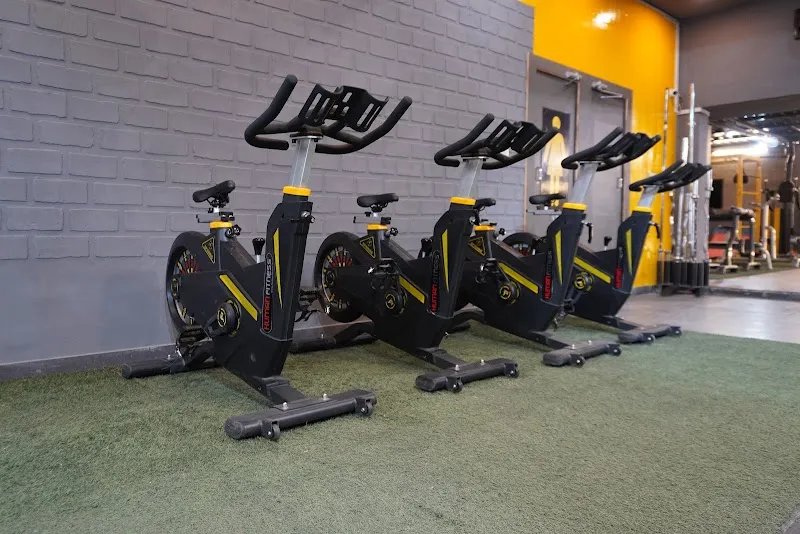 Cuts and Curves Fitness Studio