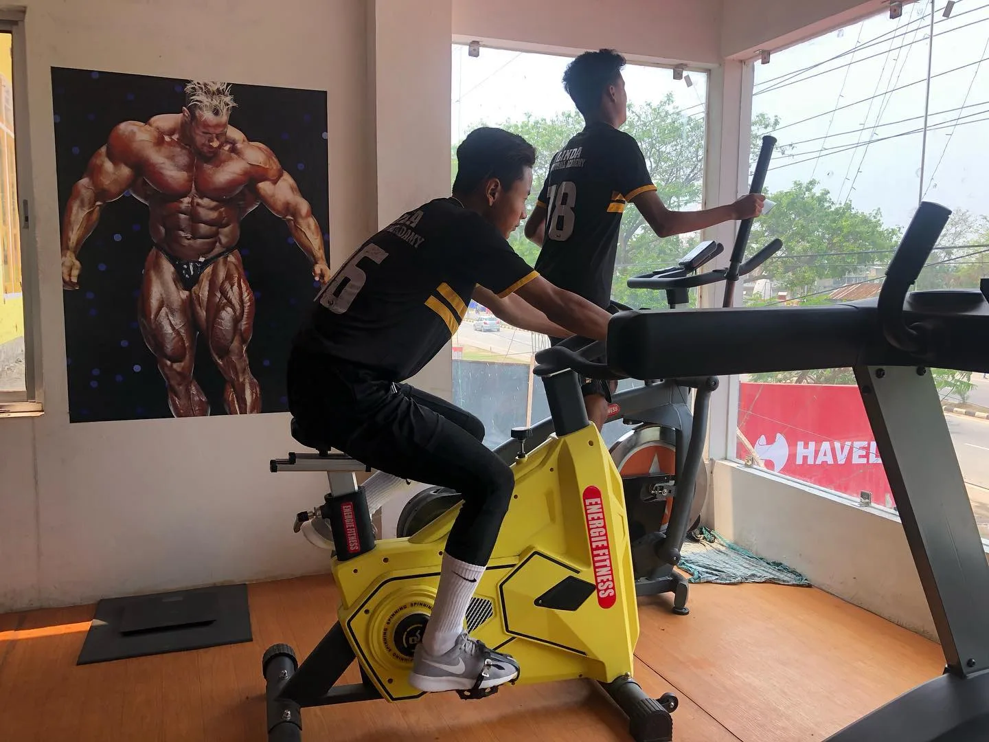 OLYMPUS GYM Azara