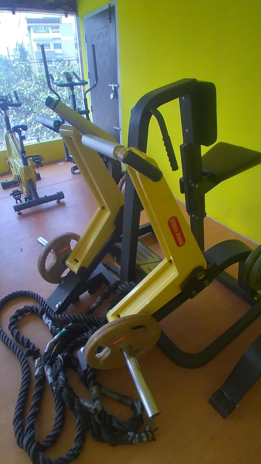 OLYMPUS GYM Azara