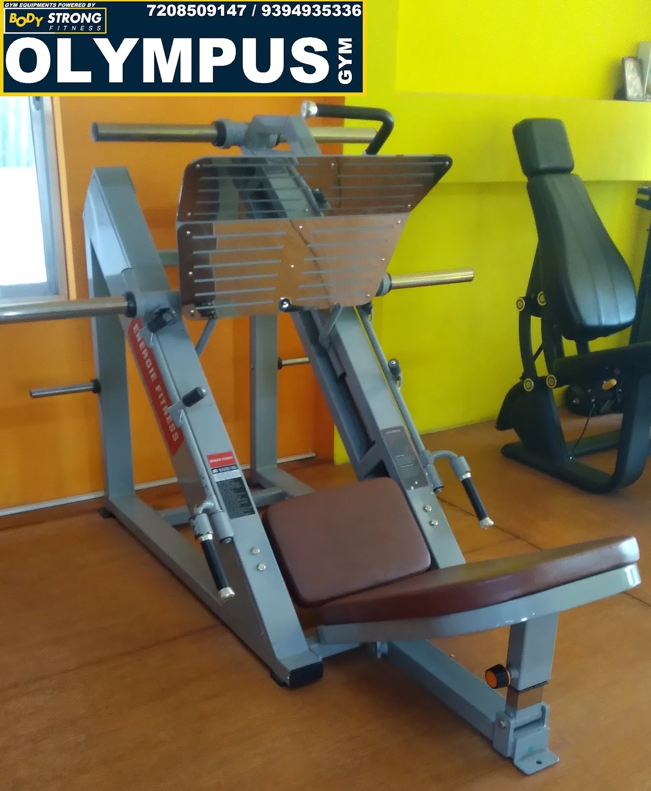 OLYMPUS GYM Azara