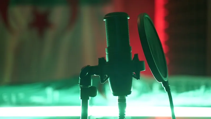 Studio 31