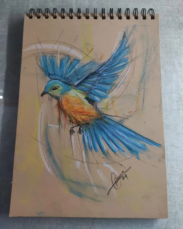 Drawing classes ( Rama Biswas)